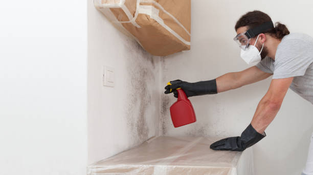 Professional Crawl Space Mold Remediation technician working in Hazlet, NJ