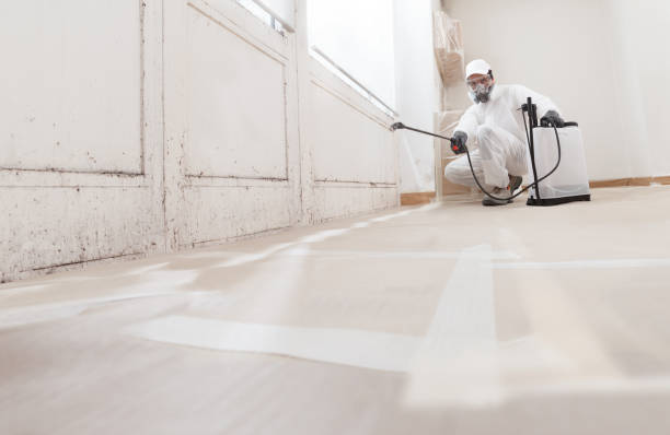 24/7 Emergency Crawl Space Mold Remediation experts in Hazlet, NJ
